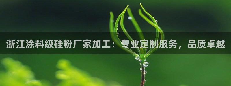 爱游戏app官网有实力05